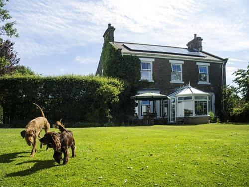 Dowfold House Bed And Breakfast Crook  Buitenkant foto